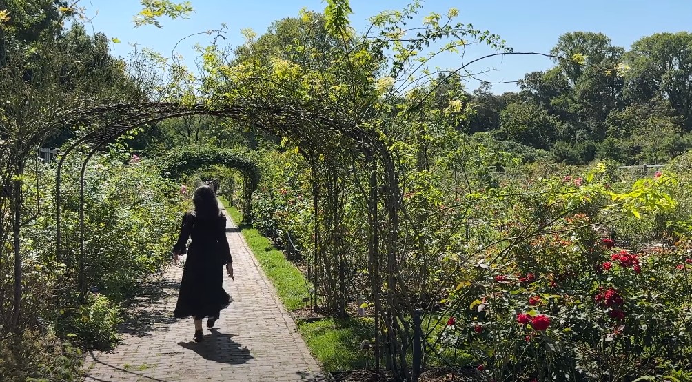 Woman walking through Botanic Garden in Brooklyn