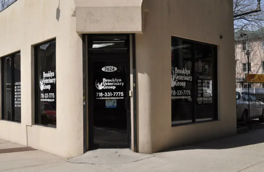 A beige-colored veterinary clinic with large glass windows displaying the clinic's name and contact details in white text