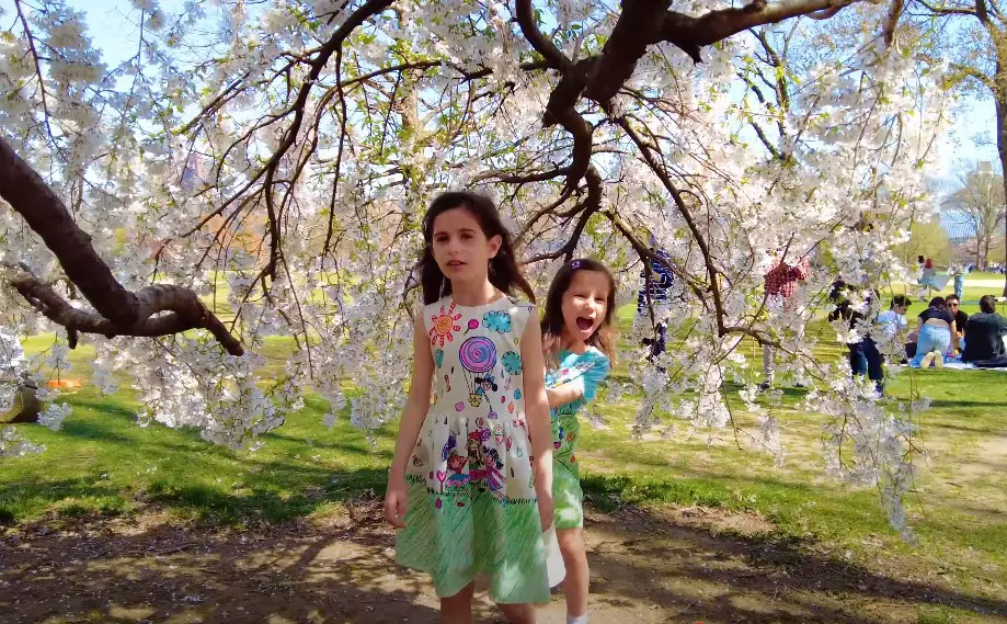 Two girls in whimsical dresses, beneath a canopy of cherry blossoms