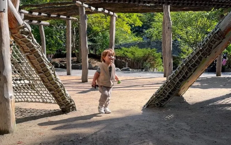 A young child explores a natural playground