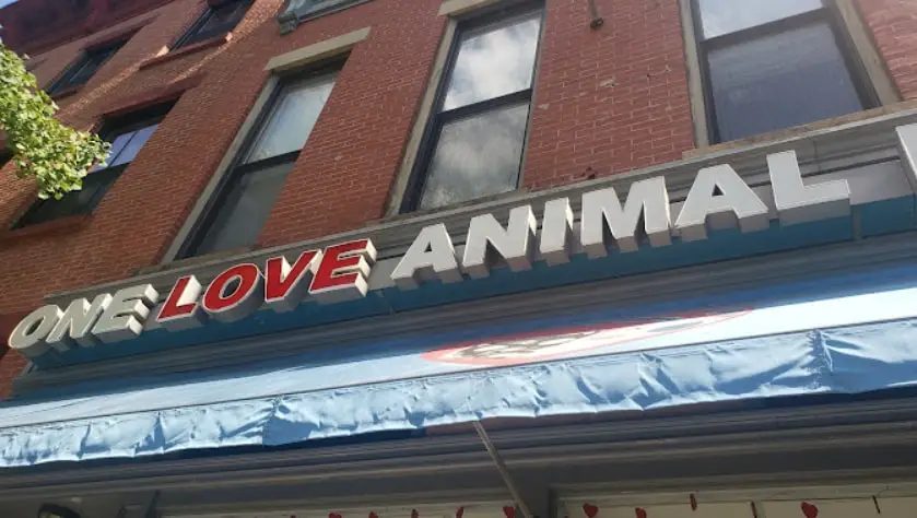 A close-up view of the exterior signage of "One Love Animal Hospital" in bold white and red letters mounted on a red brick building