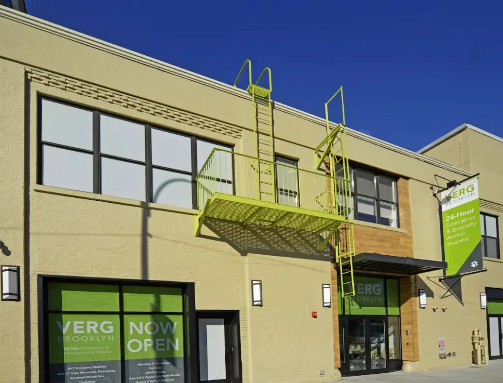 A large veterinary hospital building painted in yellow with modern green signage reading "VERG Brooklyn"