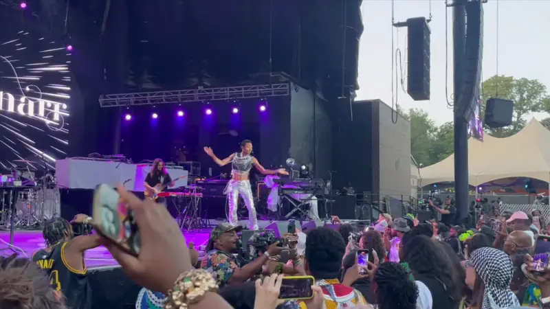 A Vibrant Performance at The AfroPunk Festival in Brooklyn