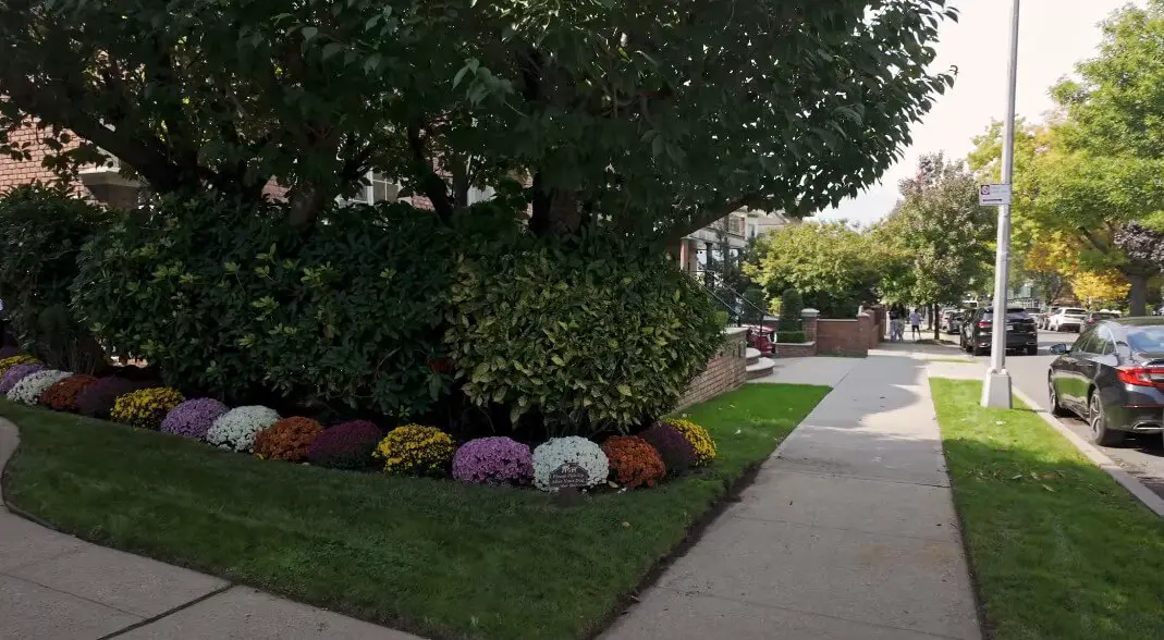 Colorful flowerbeds line the sidewalk, creating a vibrant display