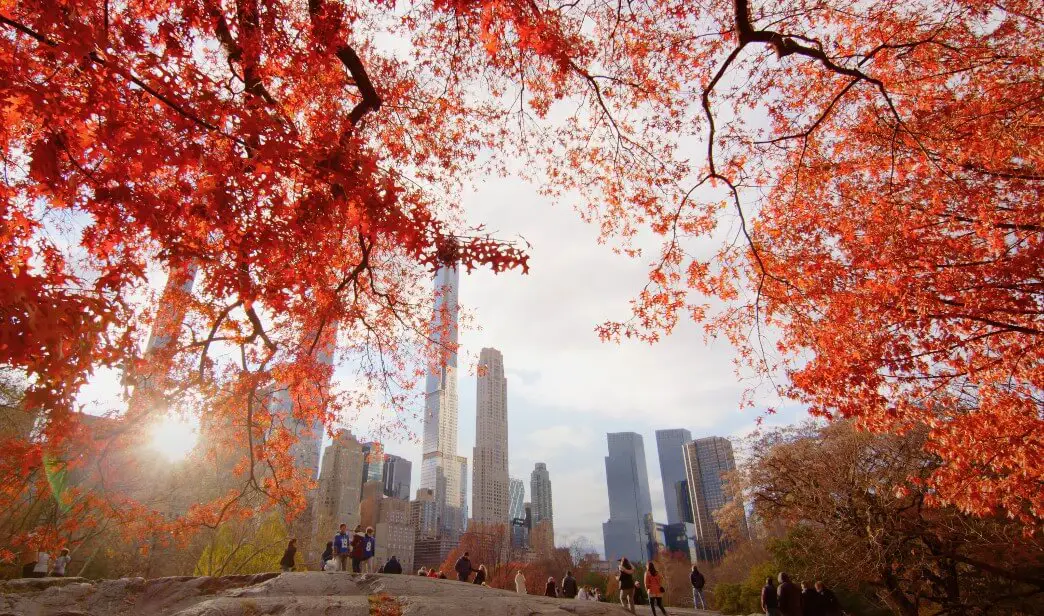 Vibrant autumn foliage frames the city skyline