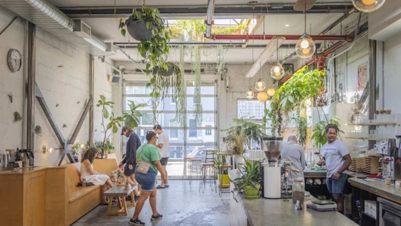 Bright and airy cafe filled with natural light and greenery, representing one of the trendiest coffee shops in the city